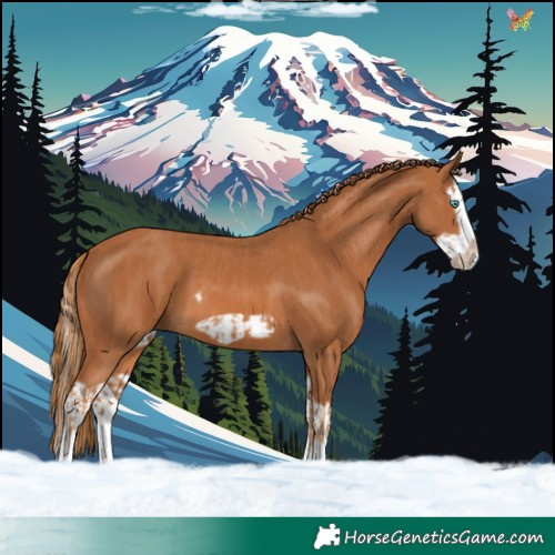 Horse Color:Chestnut Splash Frame  and Chestnut Splash Frame 