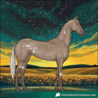 Horse Color:White Spotted Silver Grullo Rabicano