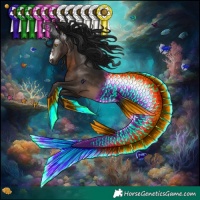 Horse Color:Gray Brown Rabicano