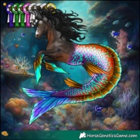 Horse Color:Gray Brown Rabicano 