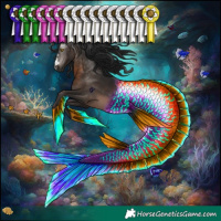 Horse Color:Gray Brown Rabicano 