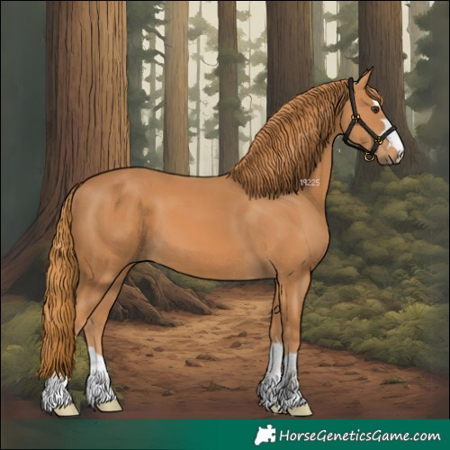 Horse Color:Chestnut 