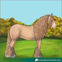 Horse Color:Gold Champagne Splash 