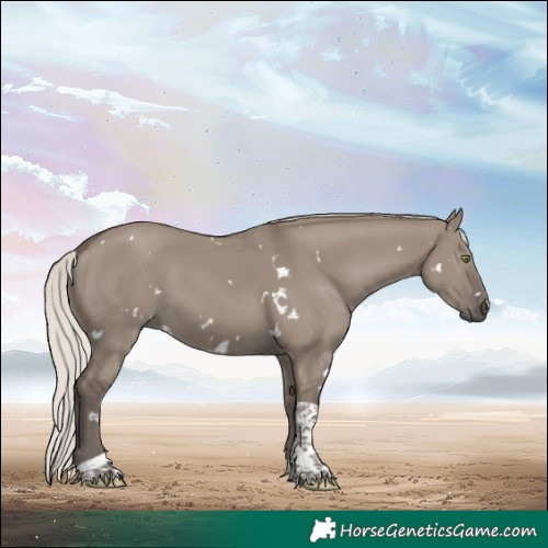 Horse Color:White Spotted Silver Grullo Tobiano Rabicano 