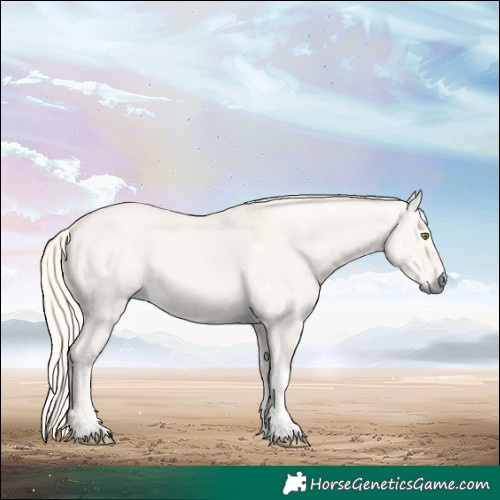Horse Color:White Spotted Silver Grullo Tobiano Rabicano 