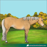 Horse Color:Silver Buckskin