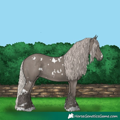 Horse Color:White Spotted Silver Grullo Rabicano 