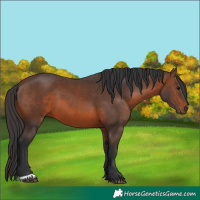 Horse Color:Brown 