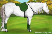 Horse Color:Liver Chestnut Appaloosa Rabicano