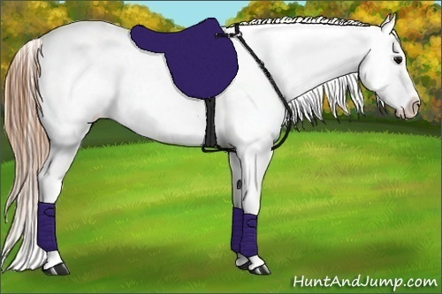 Horse Color:Smoky Grullo Snowcap 