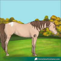 Horse Color:Amber Champagne Snowcap