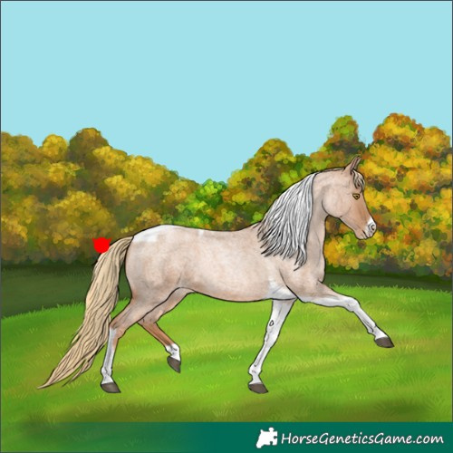 Horse Color:Red Roan Pearl Tobiano Frame 