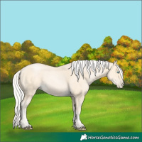 Horse Color:Silver Buckskin Pearl