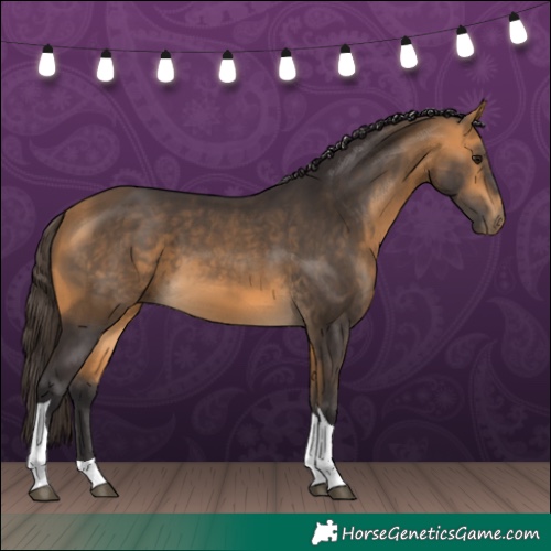 Horse Color:Buckskin Tobiano 