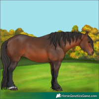 Horse Color:Brown 
