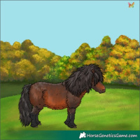 Horse Color:Brown 