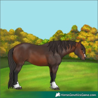 Horse Color:Brown 