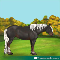 Horse Color:Liver Chestnut Mushroom Tobiano 