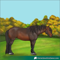 Horse Color:Brown 