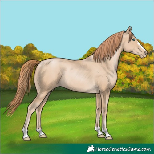 Horse Color:Smoky Black Pearl