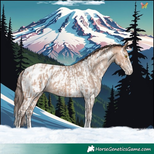 Horse Color:Amber Champagne Sabino Tobiano Appaloosa  and Amber Champagne Sabino Tobiano Appaloosa 