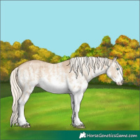 Horse Color:White Spotted Cremello Dun Brindle 