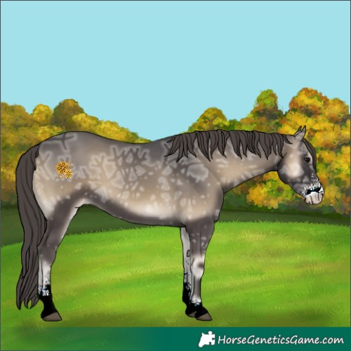 Horse Color:Smoky Blue Onyx Ice Sabino Appaloosa 