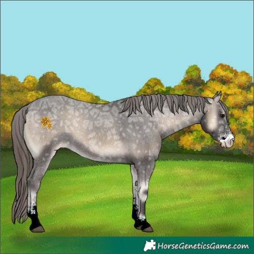 Horse Color:Smoky Blue Onyx Ice Sabino Appaloosa 