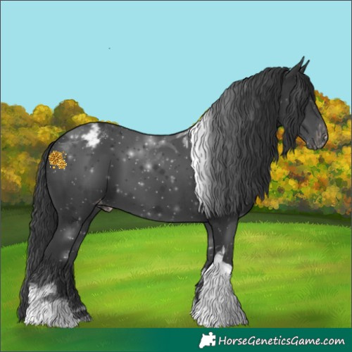 Horse Color:Black Tobiano Varnish 
