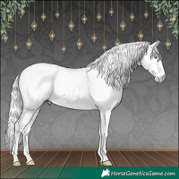 Horse Color:Cremello Dun 