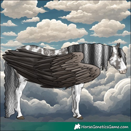 Horse Color:Grullo Sabino Rabicano