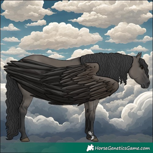 Horse Color:Grullo Sabino Rabicano 