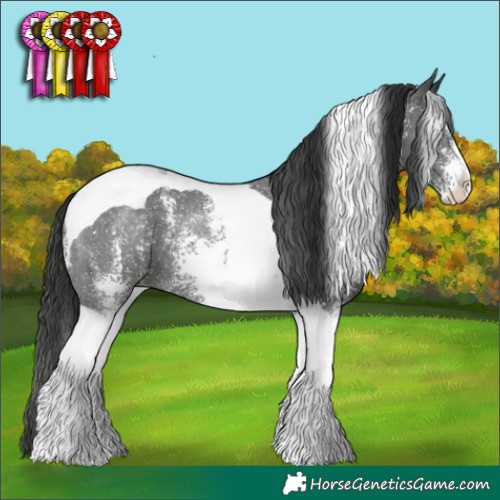 Horse Color:Liver Chestnut Sabino Tobiano