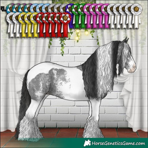Horse Color:Liver Chestnut Sabino Tobiano 