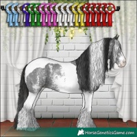 Horse Color:Liver Chestnut Sabino Tobiano 