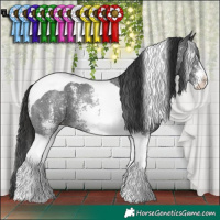Horse Color:Liver Chestnut Sabino Tobiano 