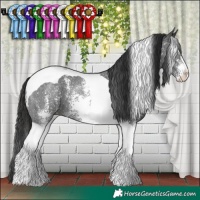 Horse Color:Liver Chestnut Sabino Tobiano