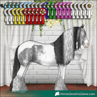 Horse Color:Liver Chestnut Sabino Tobiano