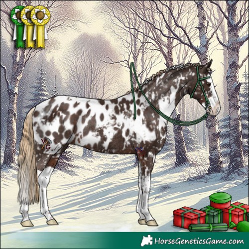 Horse Color:White Spotted Liver Chestnut Splash Appaloosa Rabicano
