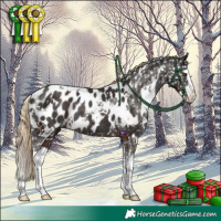 Horse Color:White Spotted Liver Chestnut Splash Appaloosa Rabicano