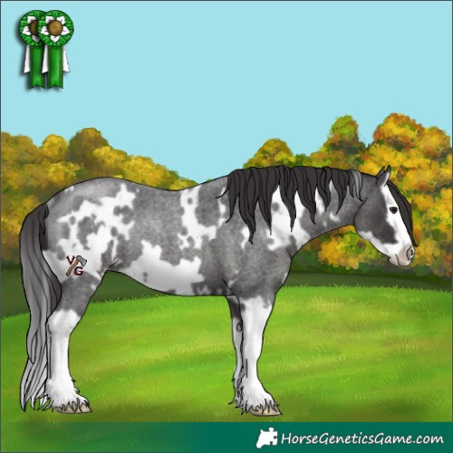 Horse Color:White Spotted Smoky Blue Roan Splash Frame Rabicano 