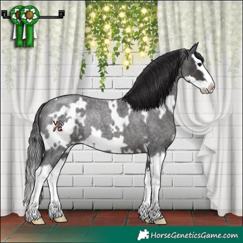 Horse Color:White Spotted Smoky Blue Roan Splash Frame Rabicano 