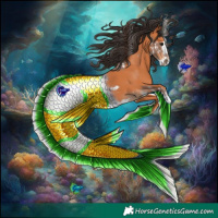 Horse Color:Classic Champagne Splash Tobiano Appaloosa  and Bay 