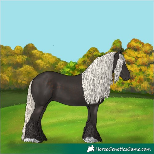 Horse Color:Liver Chestnut Mushroom 