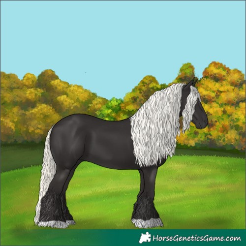 Horse Color:Liver Chestnut Mushroom 