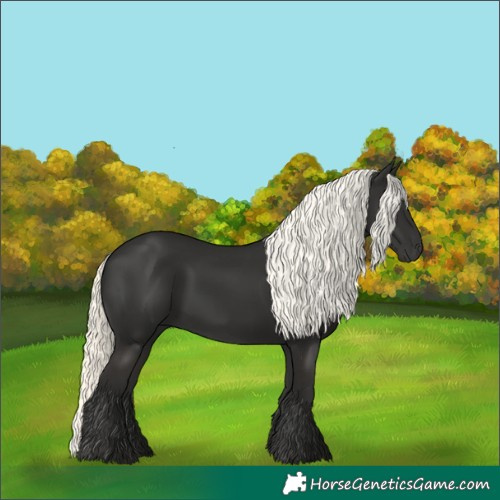 Horse Color:Liver Chestnut Mushroom 