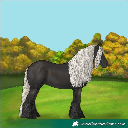 Horse Color:Liver Chestnut Mushroom 