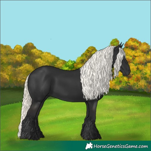 Horse Color:Liver Chestnut Mushroom 