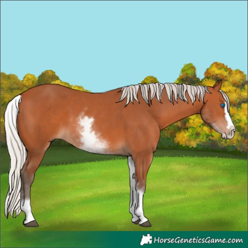 Horse Color:White Spotted Silver Bay Splash 