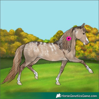 Horse Color:Powder White Liver Red Dun 